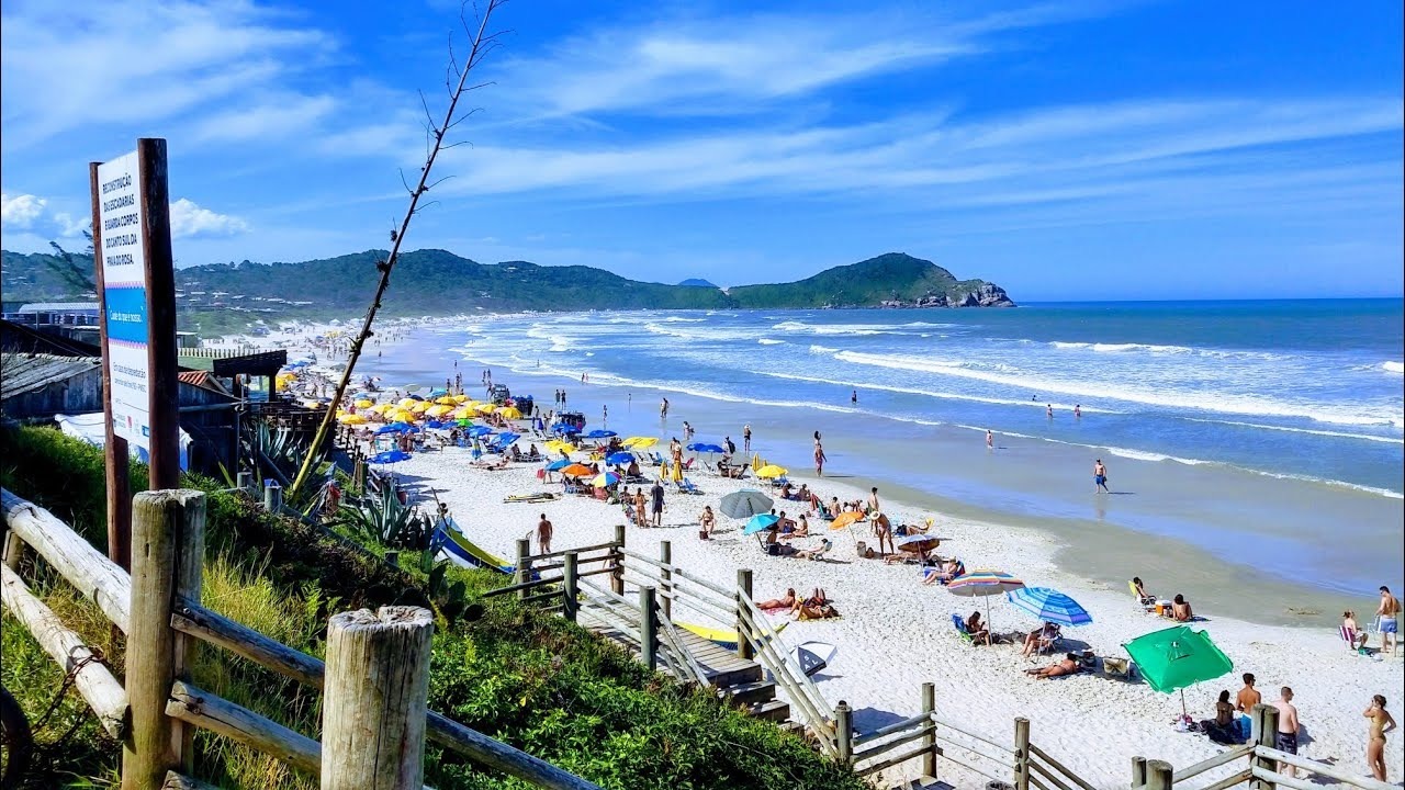 Imagem da propriedade 18
