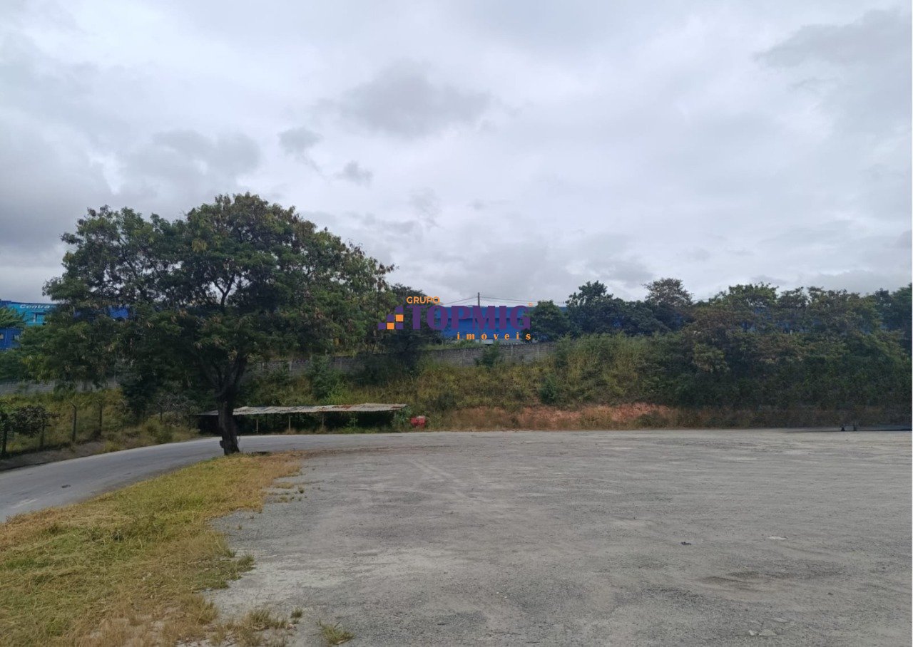 Imagem da propriedade 2321 4