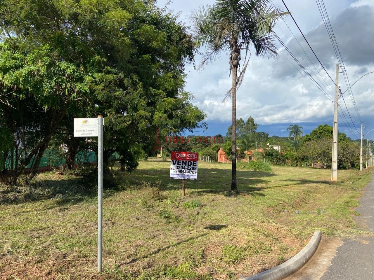 Imagem da propriedade 2