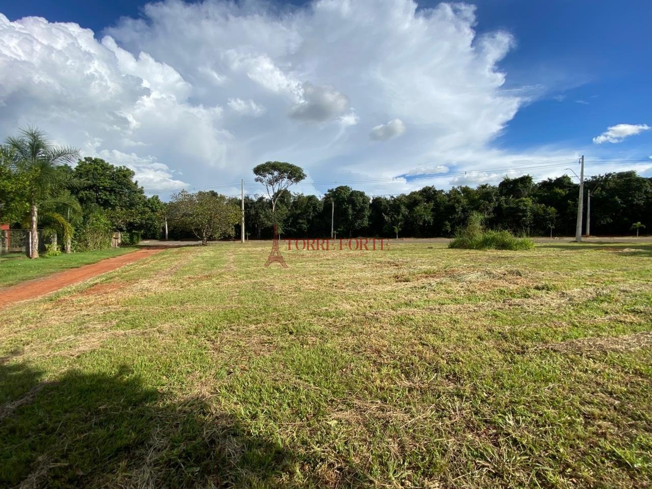 Imagem da propriedade 4