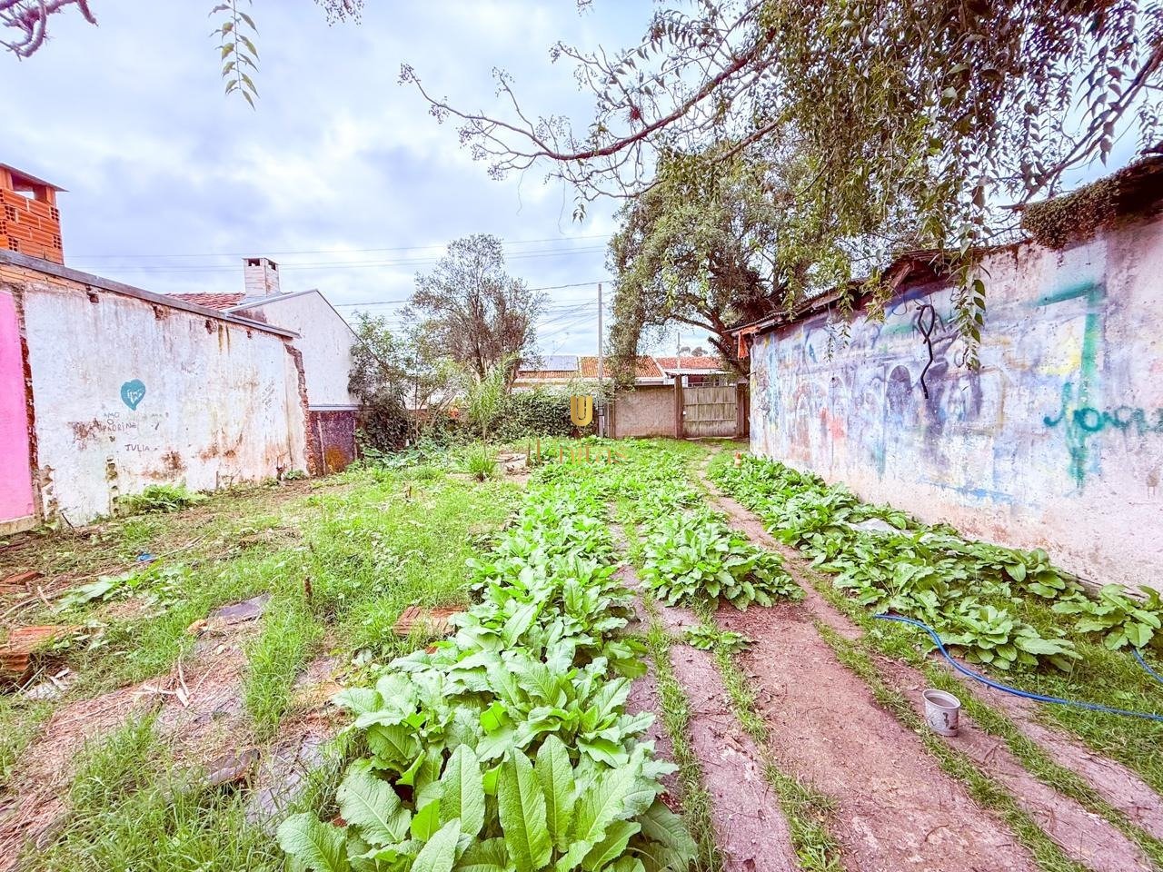Imagem da propriedade UNI225 9