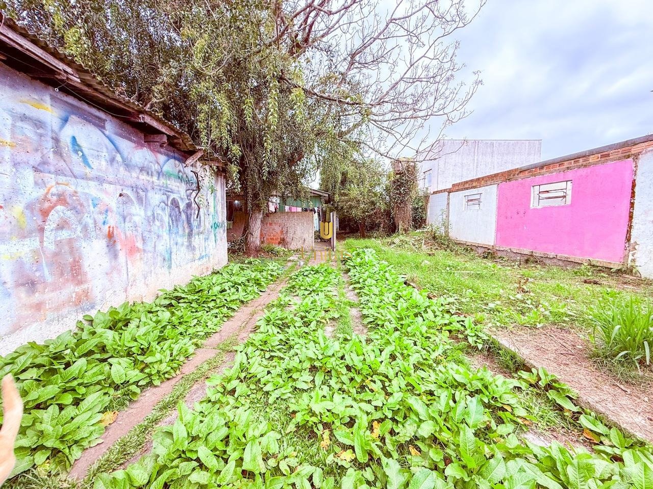 Imagem da propriedade UNI225 11