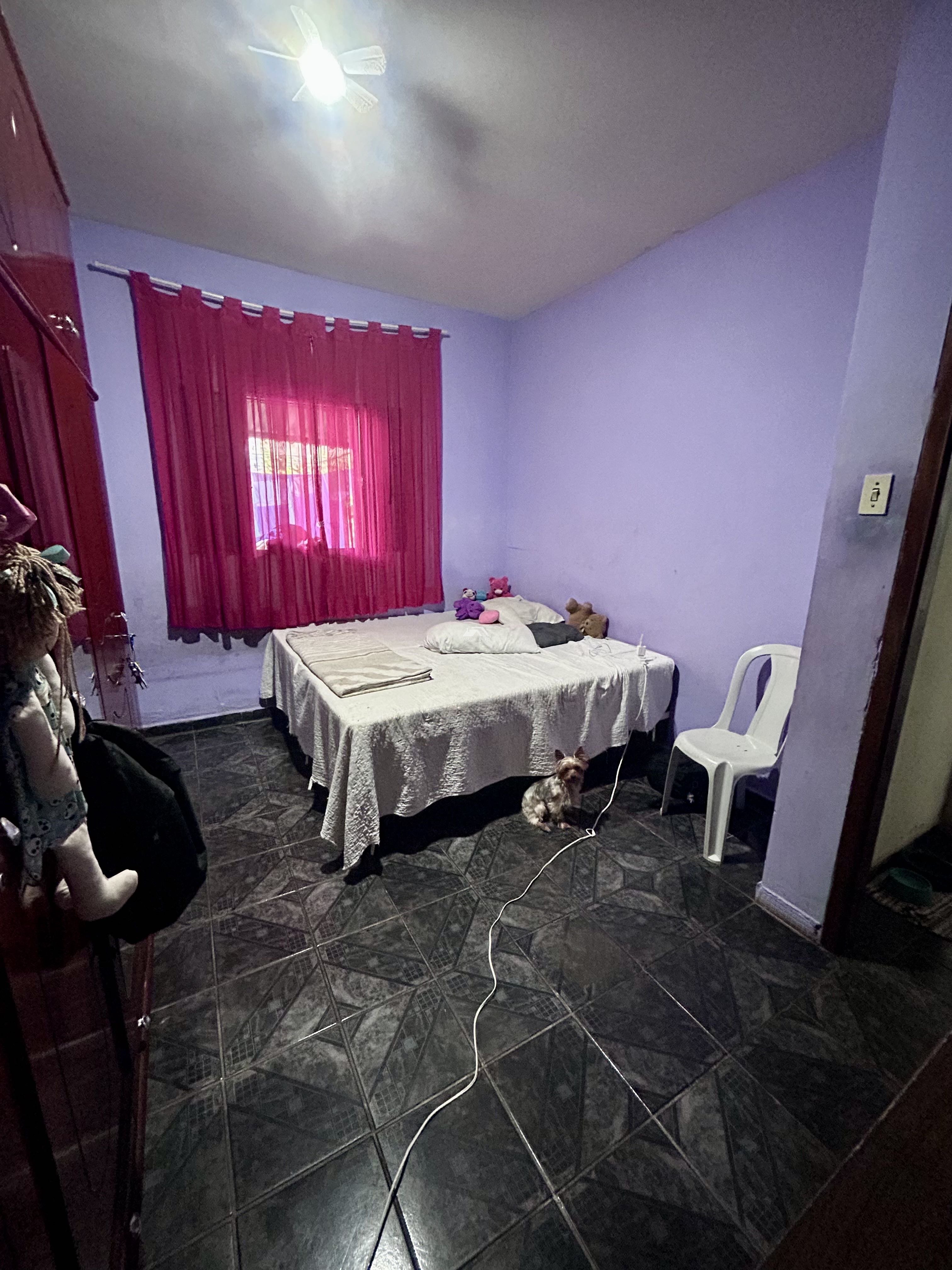 Imagem da propriedade 5