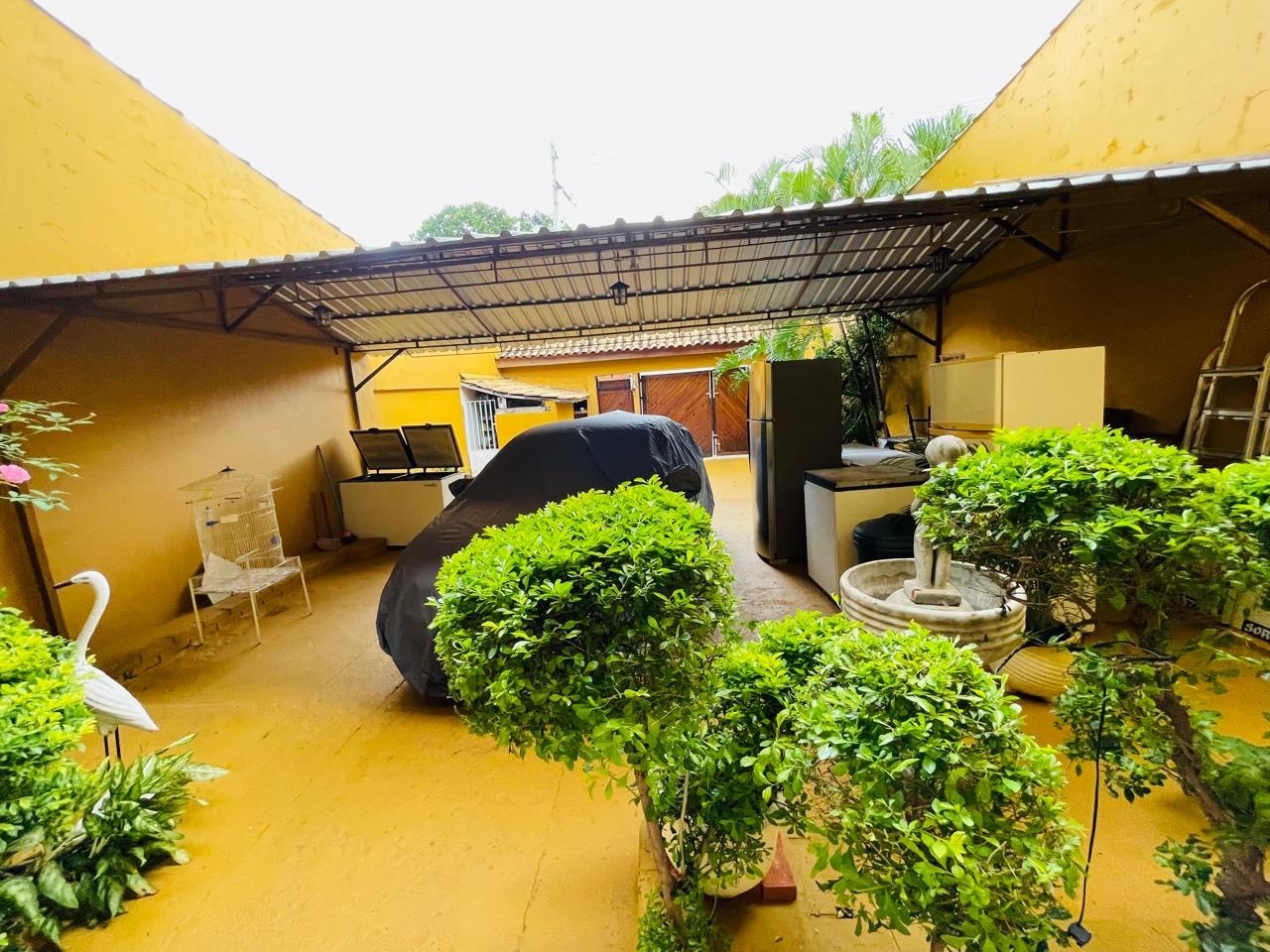 Imagem da propriedade 4