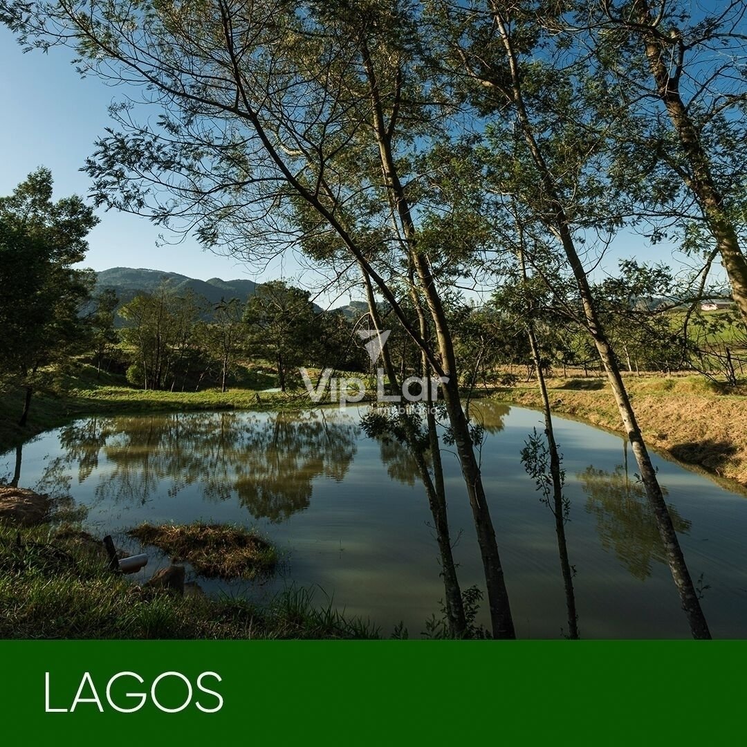 Imagem da propriedade 6