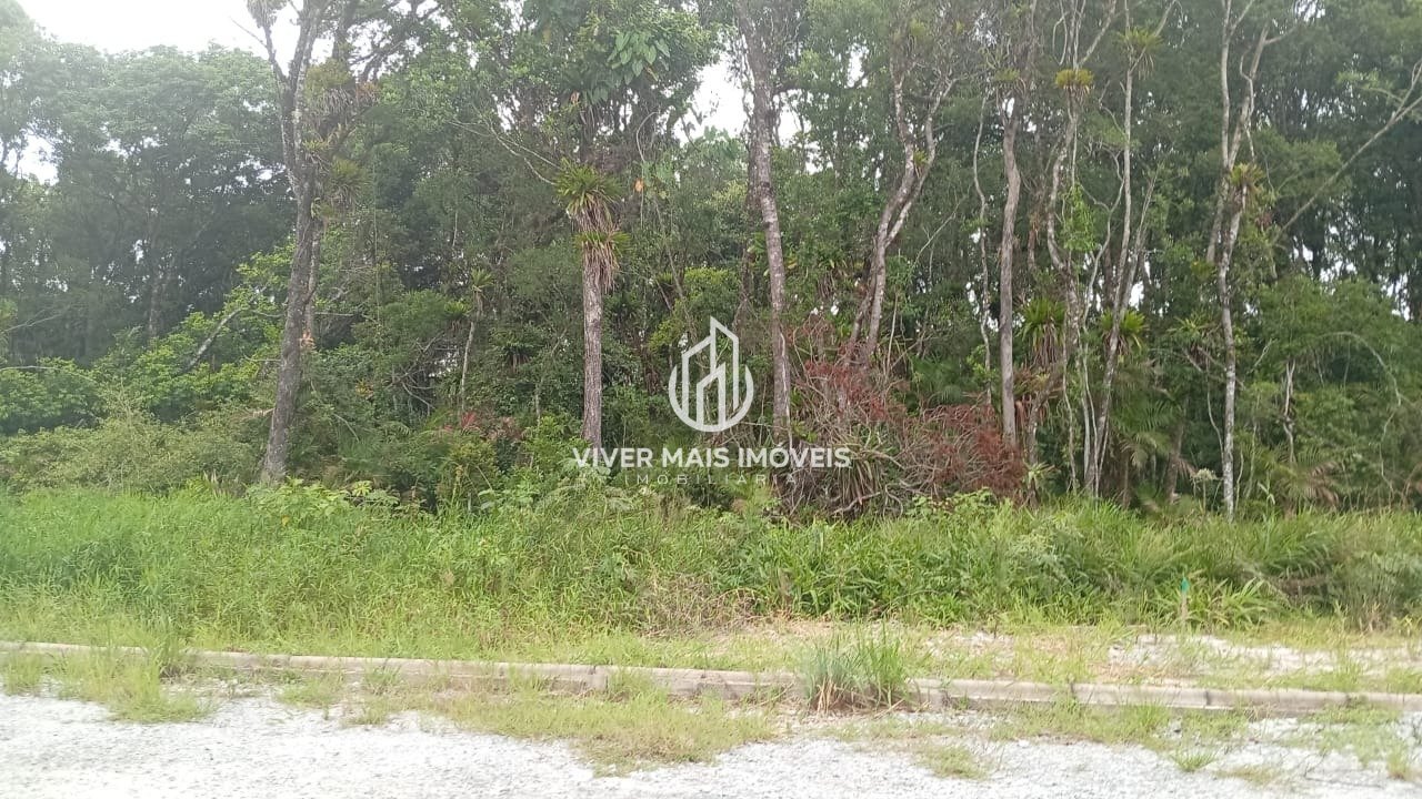 Imagem da propriedade 3