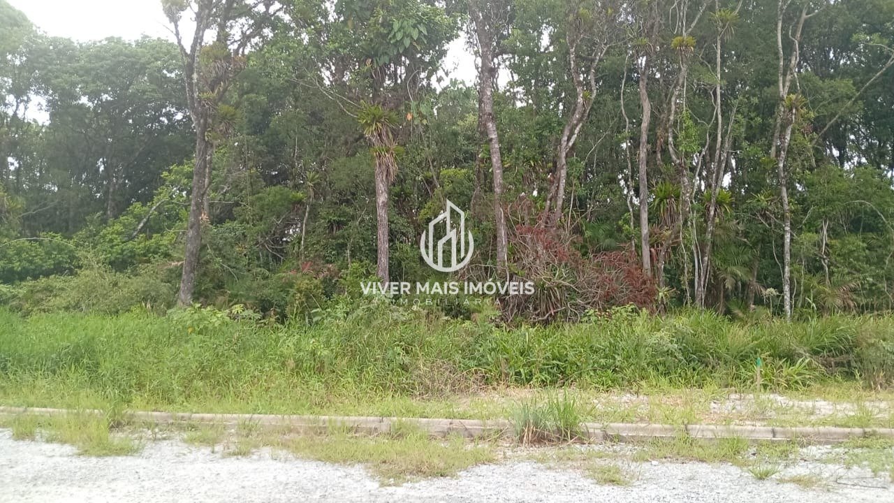 Imagem da propriedade 4